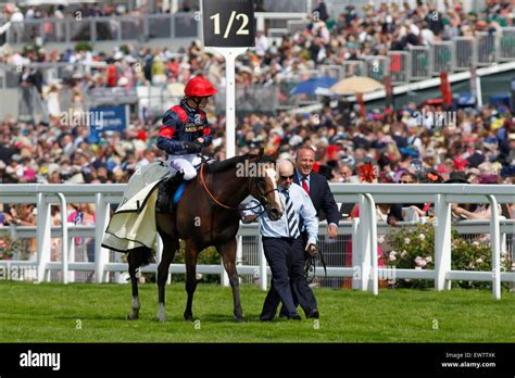 Gold Cup (Group 1) (British Champions Series) Racecard .